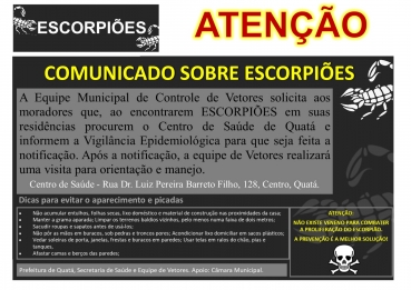 Foto 2: ALERTA - Agosto mês de resprodução dos  ESCORPIÕES