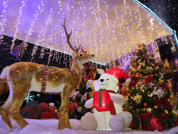 Foto 57: Carreata de Natal com as Carretas da Hengel