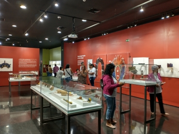Foto 29: Uma tarde no Museu
