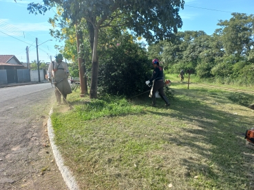 Foto 6: Coleta de lixo orgânico em saco ecológico 