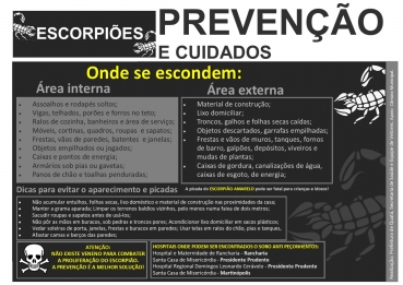 Foto 3: ALERTA - Agosto mês de resprodução dos  ESCORPIÕES