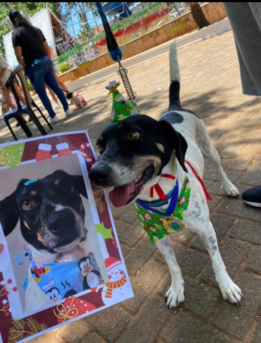 Foto 7: Dezembro Verde PET: ações em prol do Bem Estar Animal e Meio Ambiente