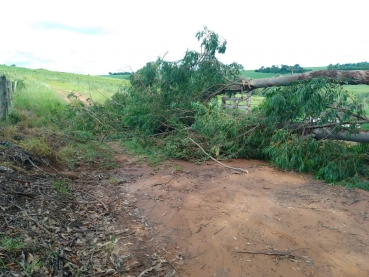 Foto 6: ZONA RURAL: ações e manutenções da Secretaria de Agricultura e Meio Ambiente 