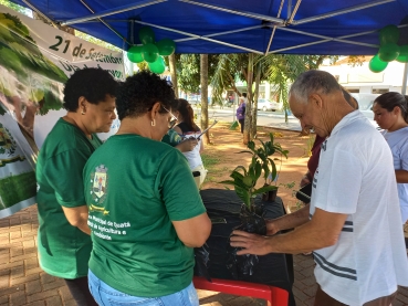 Foto 2: Doação de Mudas 