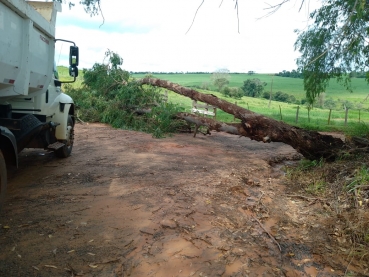 Foto 7: ZONA RURAL: ações e manutenções da Secretaria de Agricultura e Meio Ambiente 