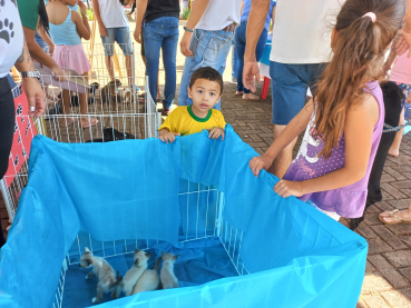 Foto 35: Ação Social: informação e atendimento à população