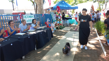 Foto 45: Dezembro Verde PET: ações em prol do Bem Estar Animal e Meio Ambiente