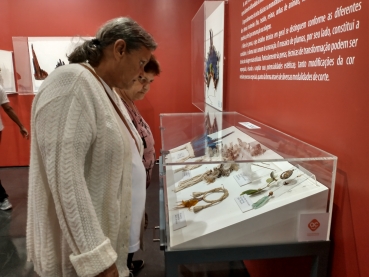 Foto 16: Uma tarde no Museu