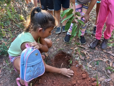 Notícia DIA MUNDIAL DO MEIO AMBIENTE