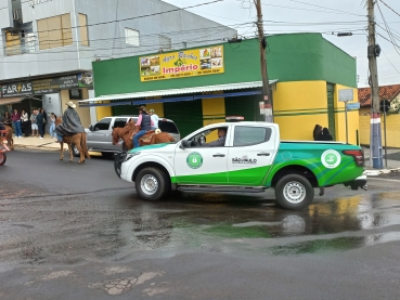Foto 128: CAVALGADA 2023