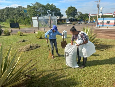 Foto 2: Coleta de lixo orgânico em saco ecológico 