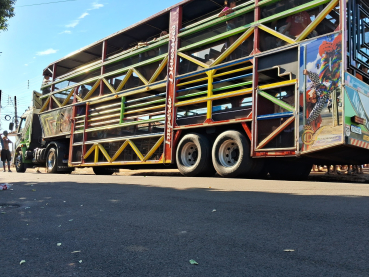 Foto 156: Diversas atrações e ações marcaram a festa em comemoração ao Dia do Trabalhador de Quatá