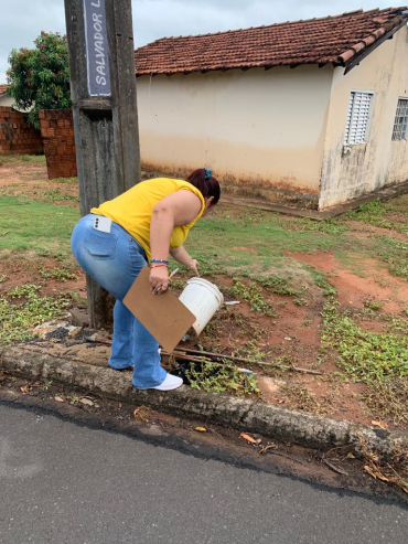 Foto 60: Dia D: Prefeitura intensifica ações de prevenção em combate ao mosquito da Dengue