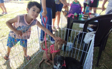 Foto 116: Diversas atrações e ações marcaram a festa em comemoração ao Dia do Trabalhador de Quatá