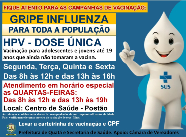 Foto 1: Gripe Influenza e HPV