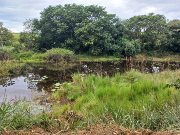 Foto 5: Passeio em comemoração ao Dia da Água