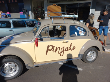 Foto 47: EXPOSIÇÃO DE CARROS ANTIGOS