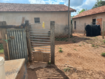 Foto 4: Coleta de sangue nos cães da Associação dos Animais de Quatá