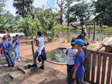 Foto 58: Prefeitura de Quata e Usina Ibéria promovem ação educativa para conservação de aves ameaçadas   