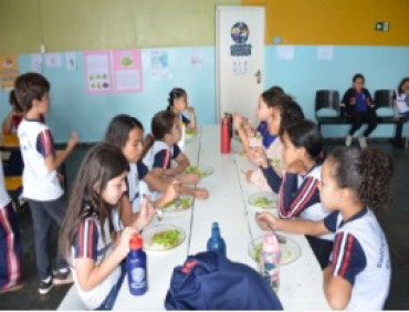 Foto 16: Projeto 