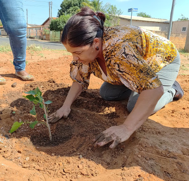 Foto 6: Pomar Urbano Comunitário é implantado em Quatá