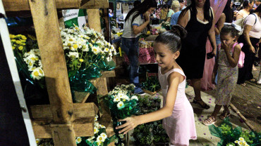 Foto 8: 