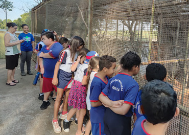 Foto 3: Prefeitura de Quatá e Usina Ibéria promovem ação educativa para conservação de aves ameaçadas