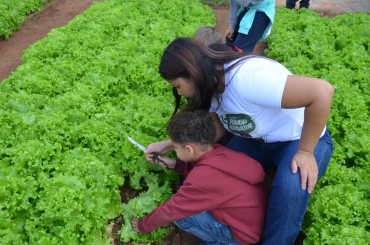 Foto 43: Projeto 