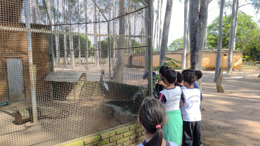 Foto 42: Prefeitura de Quata e Usina Ibéria promovem ação educativa para conservação de aves ameaçadas   