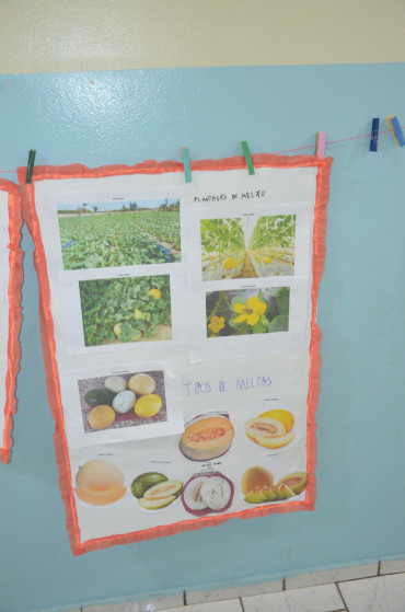 Foto 22: Projeto 