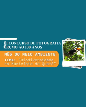 Notícia Votação aberta até 07 de julho