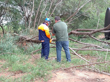 Foto 14: Prefeitura de Quatá promove curso de motosserra para capacitação de servidores