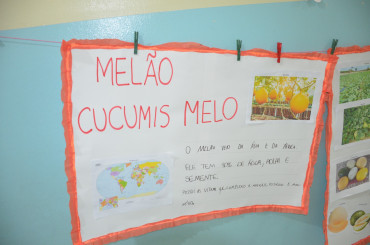 Foto 48: Projeto 
