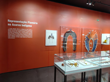 Foto 44: Alunos de Quatá visitam o Museu Índia Vanuíre em Tupã