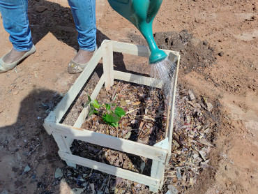 Foto 7: Pomar Urbano Comunitário é implantado em Quatá