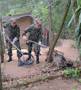 Foto 21: Quatá participa em Garça de capacitação sobre manejo de fauna silvestre