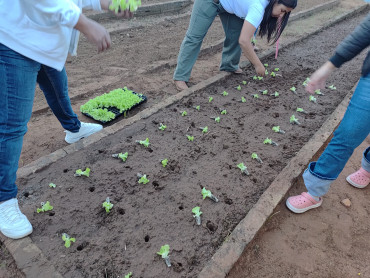 Foto 13: Nova etapa do Projeto Pequeno Agricultor 
