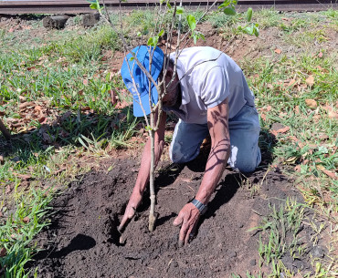 Foto 22: Pomar Urbano Comunitário é implantado em Quatá