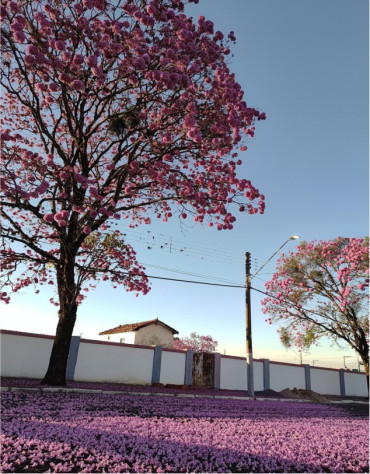 Foto 3: Votação aberta até 07 de julho