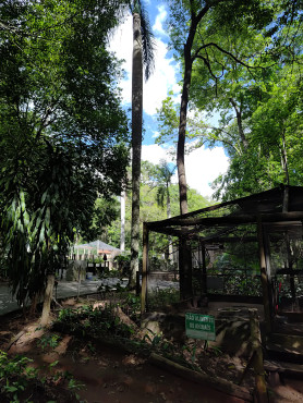 Foto 18: Quatá participa em Garça de capacitação sobre manejo de fauna silvestre