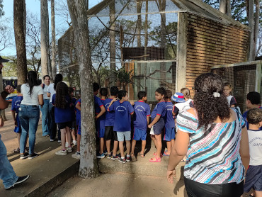 Foto 12: Prefeitura de Quatá e Usina Ibéria promovem ação educativa para conservação de aves ameaçadas
