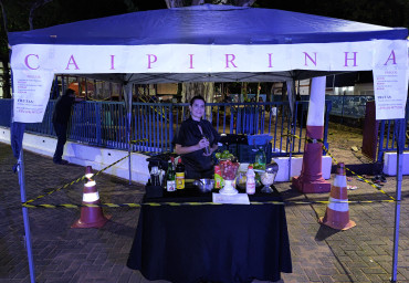 Foto 30: Natal Encantado das Fadas reúne programação cultural e ações de fim de ano em Quatá