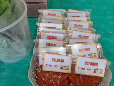 Foto 30: Programa do Sebrae incentiva alunos a serem Jovens Empreendedores