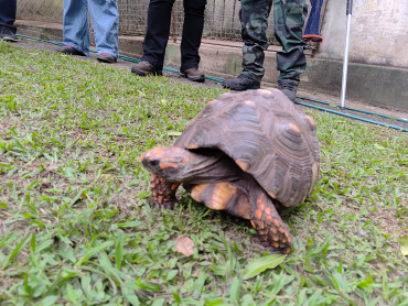 Foto 24: Quatá participa em Garça de capacitação sobre manejo de fauna silvestre