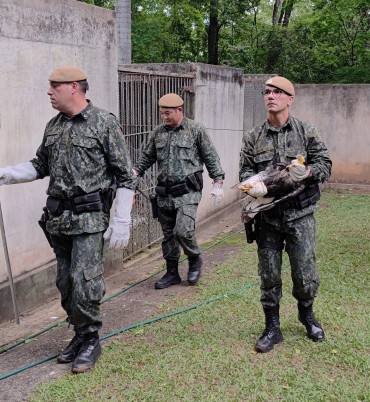 Foto 8: Quatá participa em Garça de capacitação sobre manejo de fauna silvestre