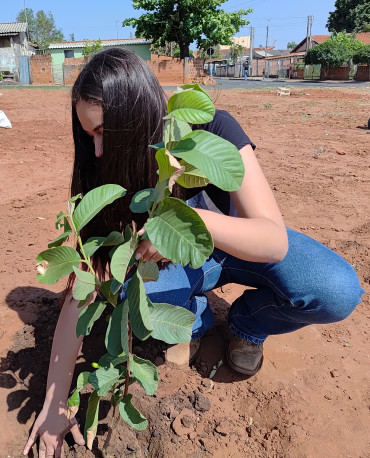 Foto 13: Pomar Urbano Comunitário é implantado em Quatá