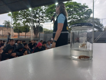 Foto 48: Saúde promove palestras de conscientização e Prevenção contra Dengue e Escorpião