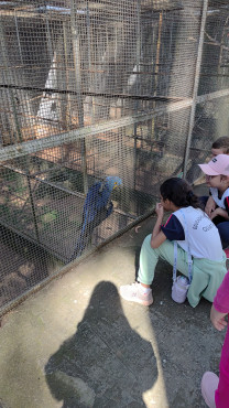 Foto 41: Prefeitura de Quata e Usina Ibéria promovem ação educativa para conservação de aves ameaçadas   