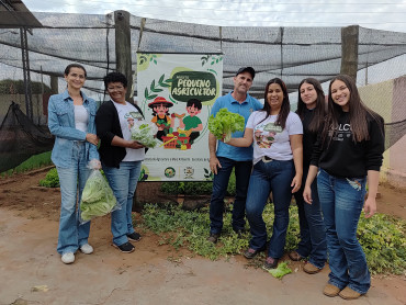 Foto 13: Projeto Pequeno Agricultor: Colheita de hortaliças