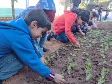 Notícia Nova etapa do Projeto Pequeno Agricultor 